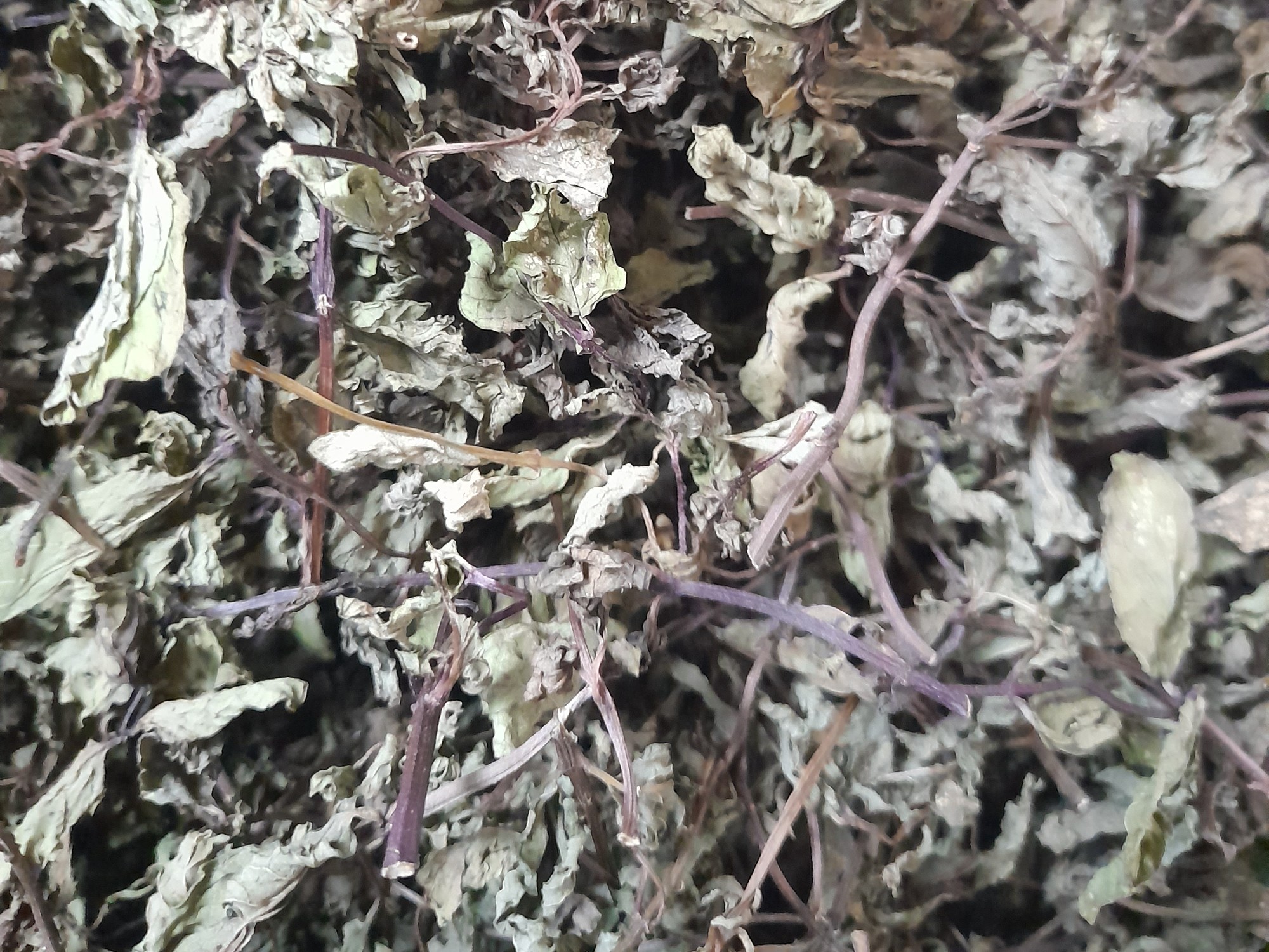 All-natural dried spearmint leaves