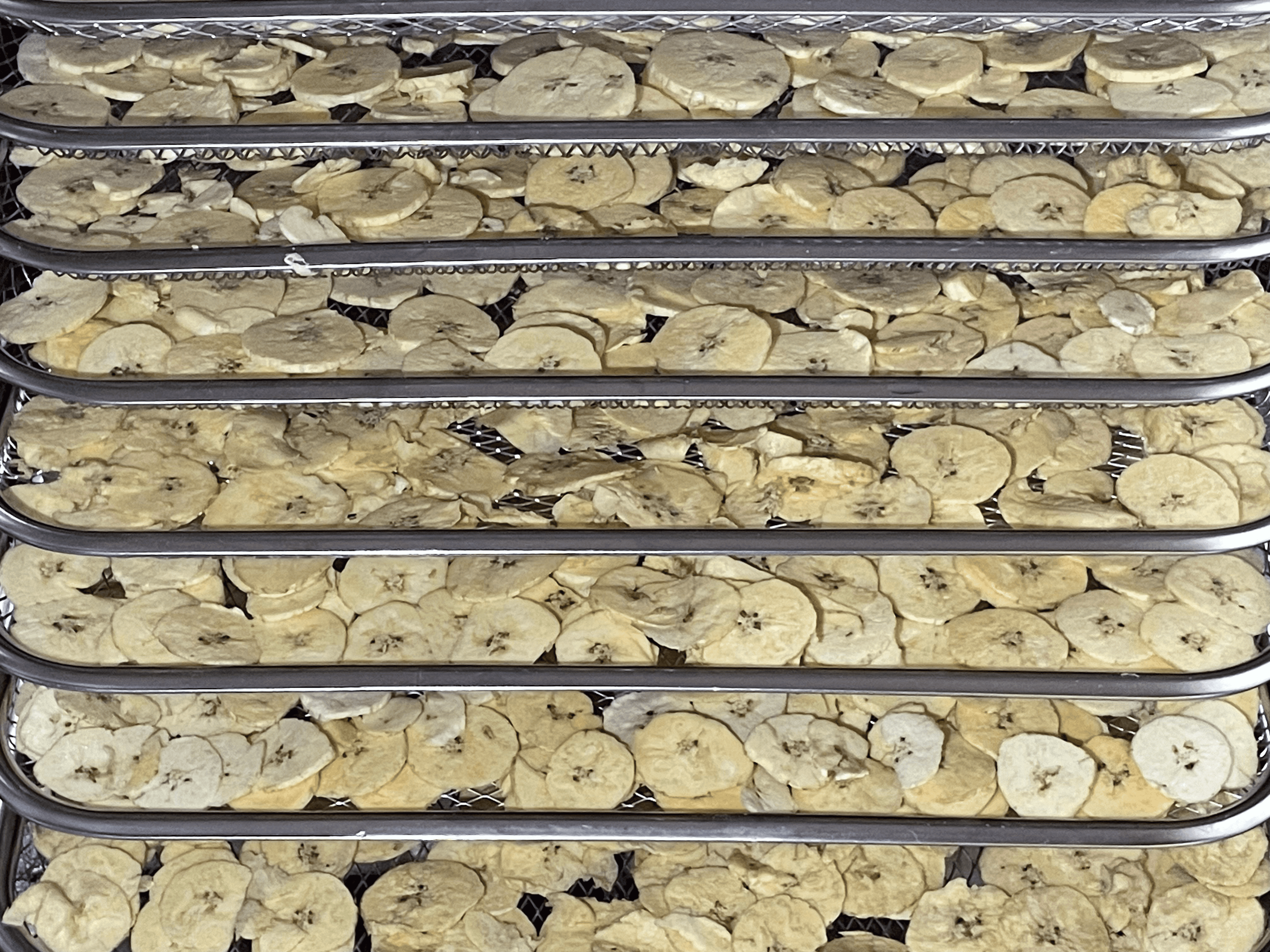 Tray-style dehydrator with multiple racks for herbs and fruits