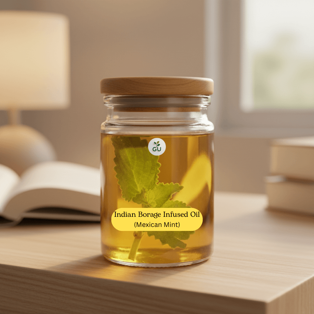 GU Indian borage infused oil in a jar on a desk