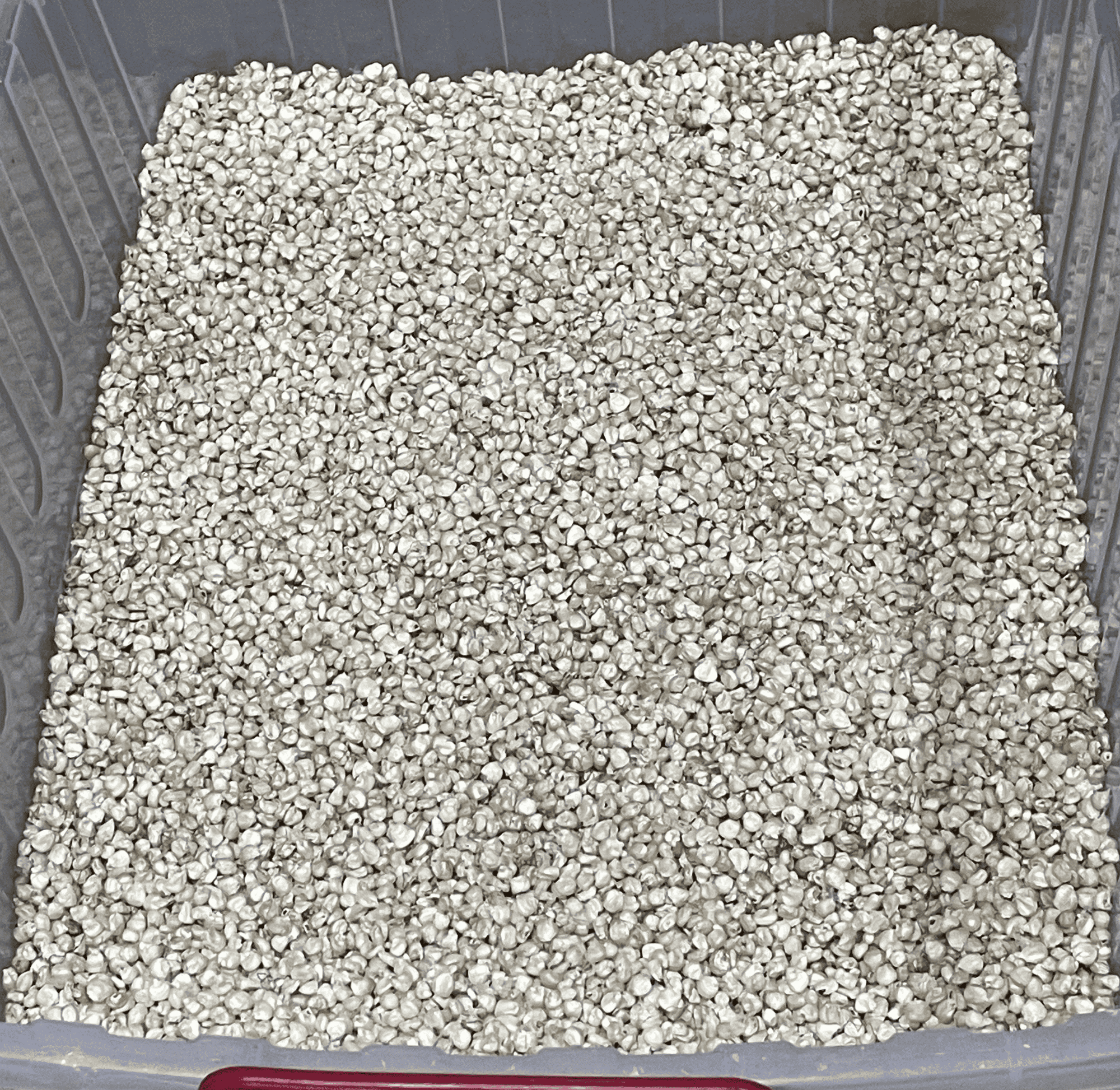 All-natural dried white and yellow corn kernels in a pouch