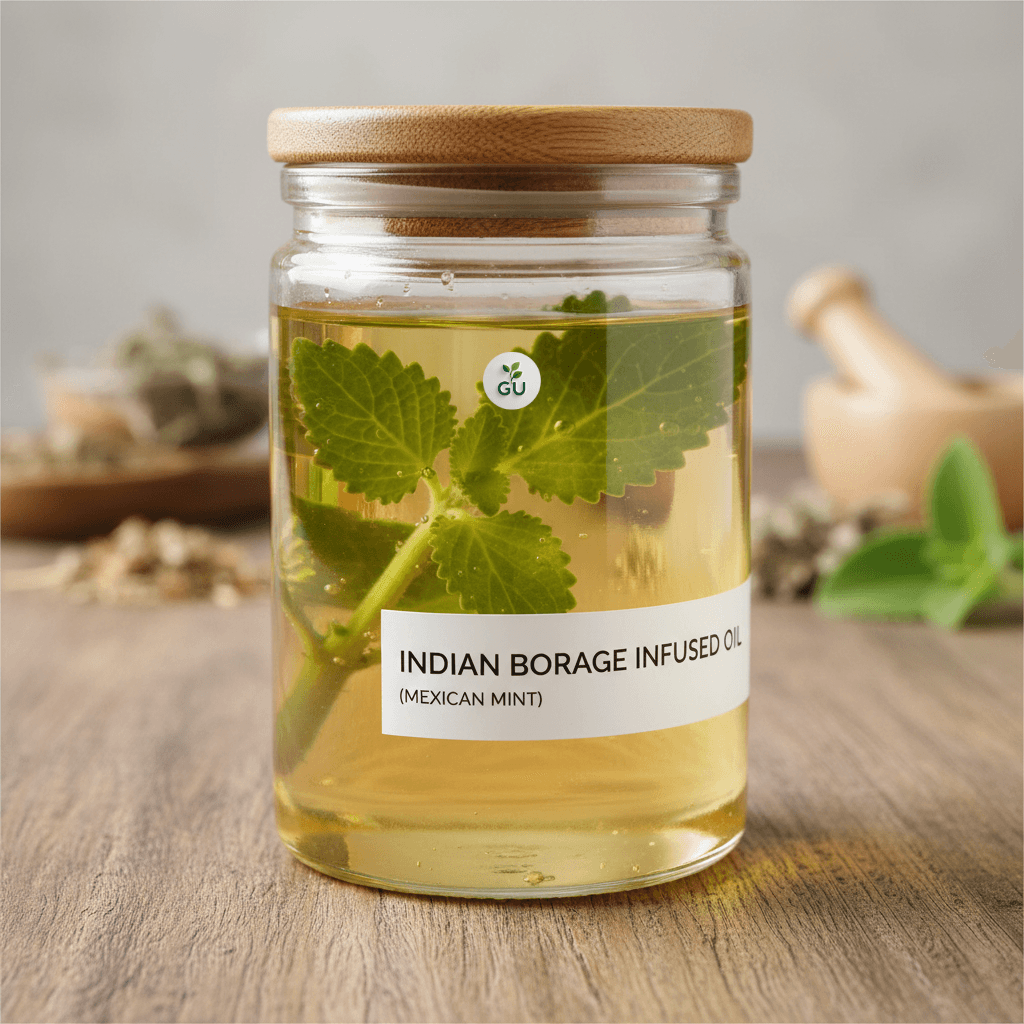 GU Indian borage infused oil in a jar on a wooden table